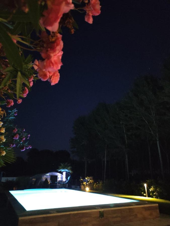 Rb Bed & Breakfast Gaiba Dış mekan fotoğraf